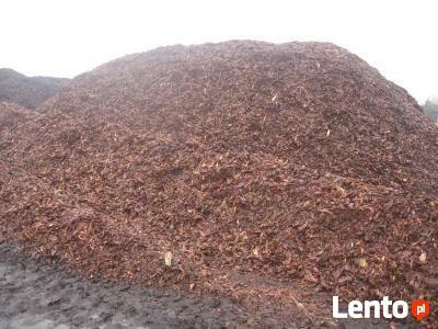 KORA SOSNOWA LUBIN LEGNICA WOŁÓW ŚRODA BRZEG DOLNY