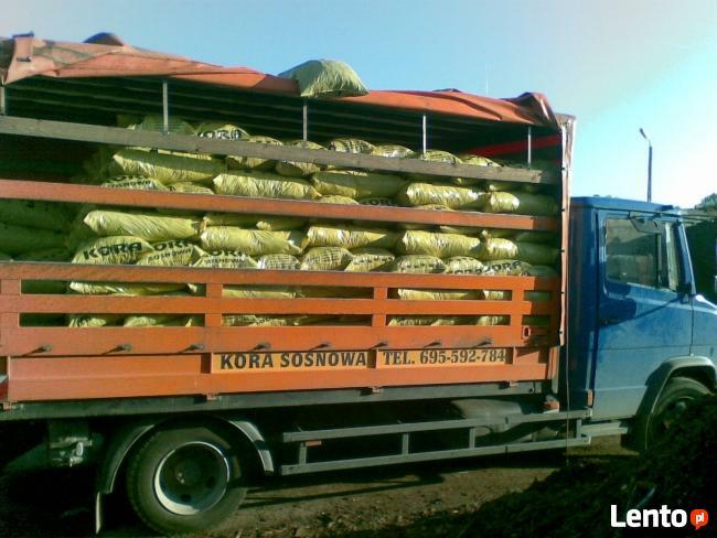 KORA SOSNOWA LUBIN LEGNICA WOŁÓW ŚRODA BRZEG DOLNY