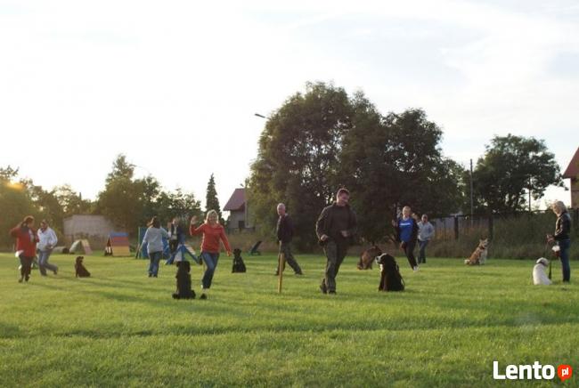 SZKOLENIE PSÓW W LEGNICY