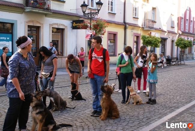 SZKOLENIE PSÓW W LEGNICY