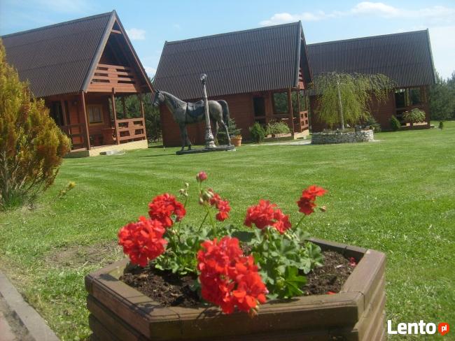 Domki nad morzem - Sarbinowo