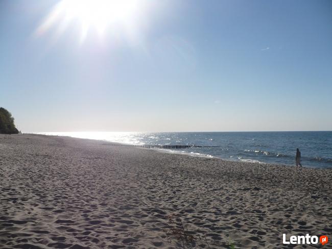 Domki nad morzem - Sarbinowo
