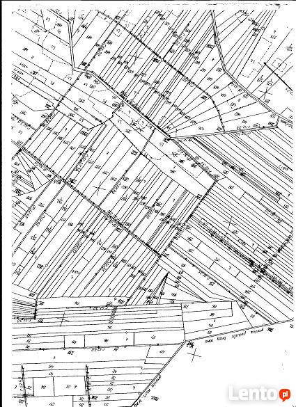 Działki 59 km od W-wy,na łąkach w Prabutach pow.Wyszków,