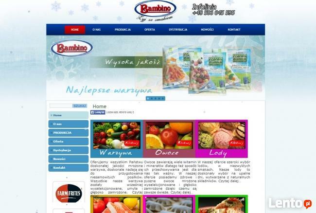 Projektowanie i pozycjonowanie stron inernetowych.