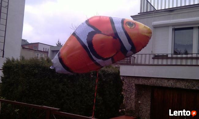 2020 balony z helem dekoracje balonowe hel Wrocław Balloon