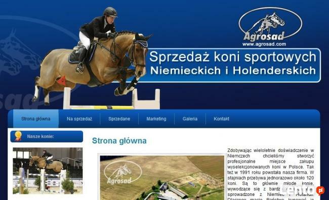 Projektowanie i Pozycjonowanie Stron Internetowych