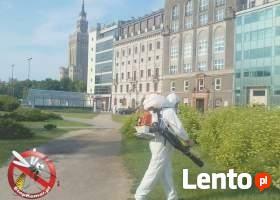 Skuteczne zwalczanie komarów -oprysk terenów Warszawa
