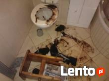 Sprzątanie mieszkań,piwnic,wywóz dezynfekcja