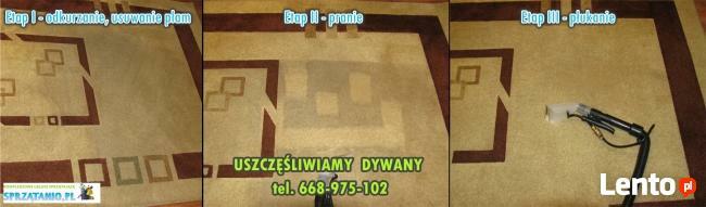 Pranie czyszczenie odplamianie wykładzin dywanowych lubartów