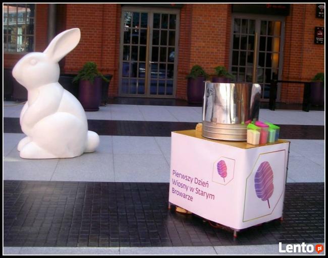 Popcorn na Targach, Wystawa z Popcornem, Popcorn w MTP