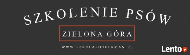 Nowoczesne szkolenie psów Zielona Góra - z dojazdem do psa