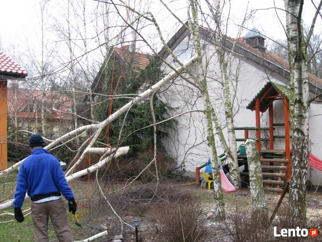 WYCINKA, PRZYCINANIE DRZEW I KRZEWÓW
