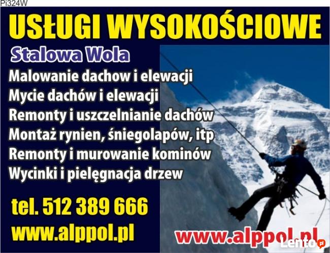 Malowanie dachow Tarnobrzeg 512-389-666