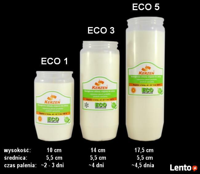 Znicze Witraże, gipsowe, szklane, wkłady Promyk - Ignis