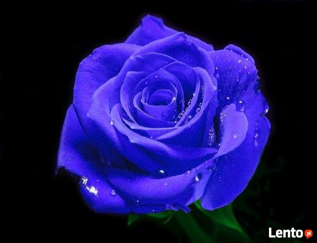 DWA SERCA TWORZĄ JEDNĄ CALOŚĆ CALA POLSKA I ZAGRANICA.