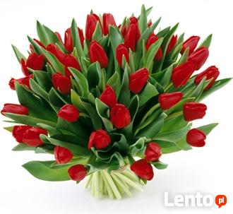 DWA SERCA TWORZĄ JEDNĄ CALOŚĆ CALA POLSKA I ZAGRANICA.