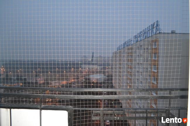 Siatka dla kota, siatka na balkon