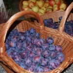 kosz wiklinowy sklep hurtownia wiklina kosze wiklinowe NOWE