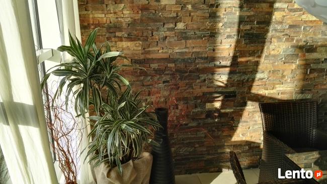 BioArt pielęgnacja roślin w ogrodzie i w firmie Lubelskie