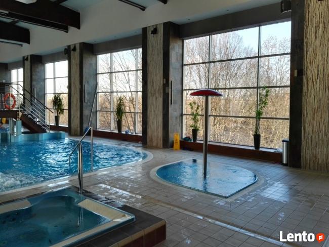 BioArt pielęgnacja roślin w ogrodzie i w firmie Lubelskie