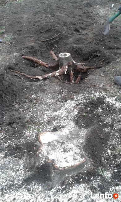 Demontaż boazerii, karczow.pni i prace przy domowe