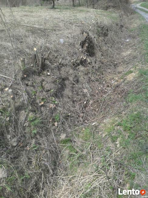 Demontaż boazerii, karczow.pni i prace przy domowe