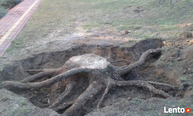 Demontaż boazerii, karczow.pni i prace przy domowe