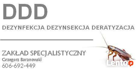 Zakład DDD - Dezynfekcja Dezynsekcja Deratyzacja Kędzierzyn