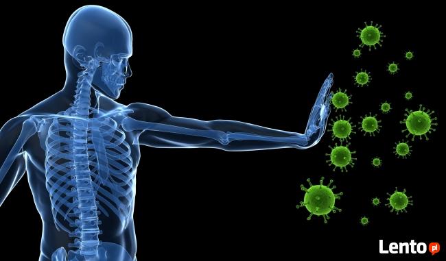 Usuwanie uciążliwych zapachów, smrodu- 606692449