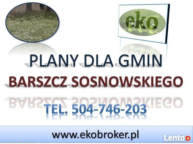 Program usuwania barszczu Sosnowskiego, plan walki Gmina