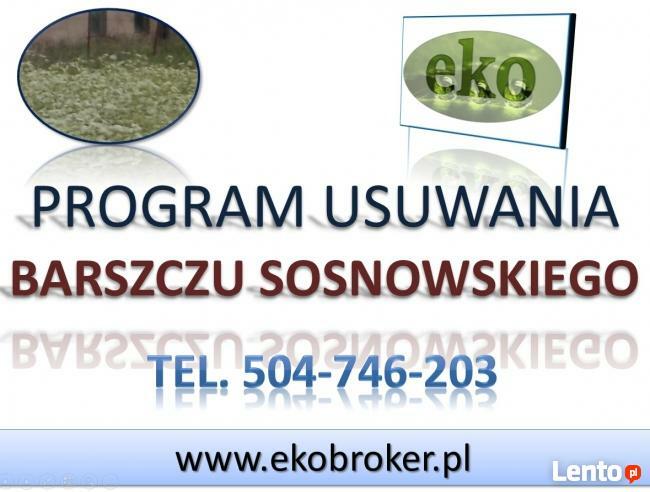 Program usuwania barszczu Sosnowskiego, plan walki Gmina