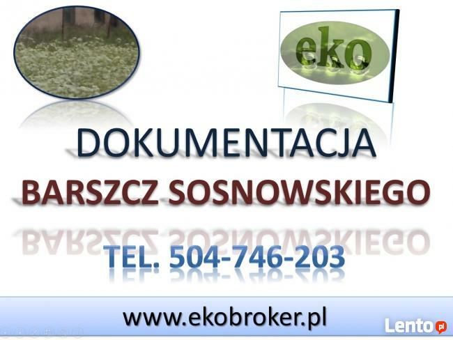 Program usuwania barszczu Sosnowskiego, plan walki Gmina