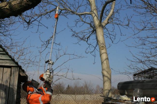 przycinanie drzew owocowych