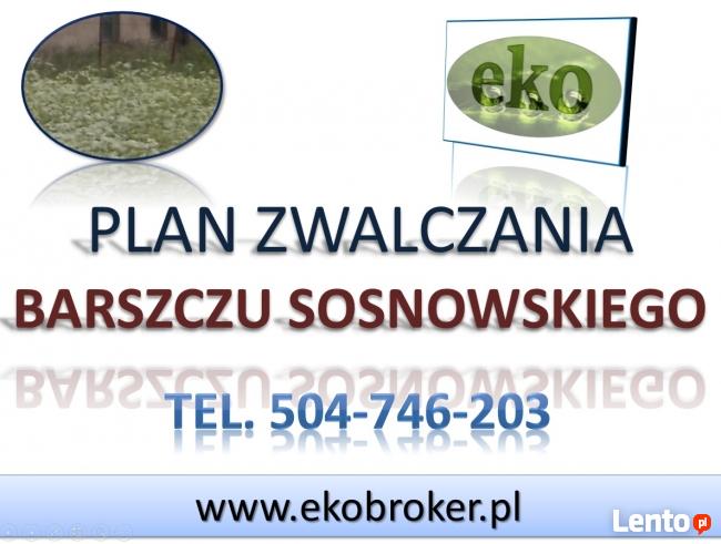 Program usuwania barszczu Sosnowskiego, plan walki Gmina