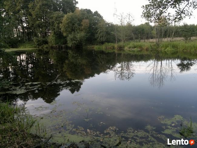 działki z jeziorami prywatnymi- TANIO !