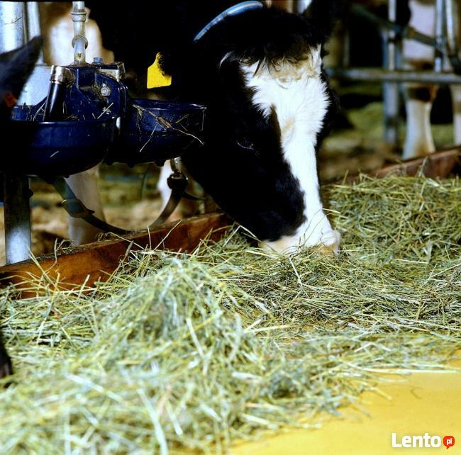 POSADZKI ŻYWICZNE-epoksydowe - poliuretanowe - metakrylowe