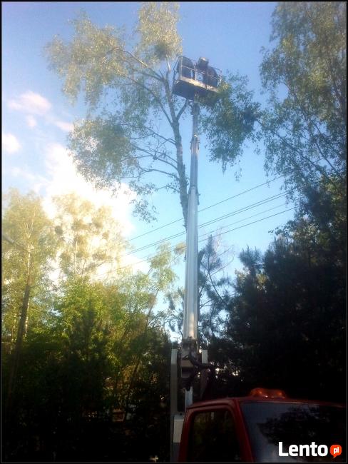 Wycinka i przycinka drzew podnośnikiem koszowym tel516327016