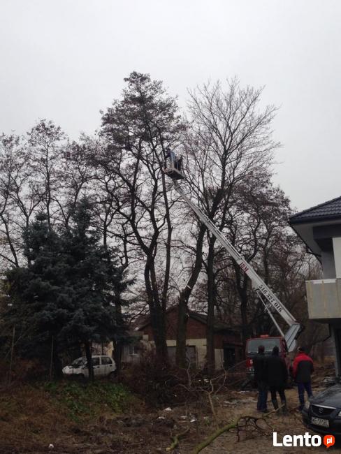 Wycinka i przycinka drzew podnośnikiem koszowym tel516327016
