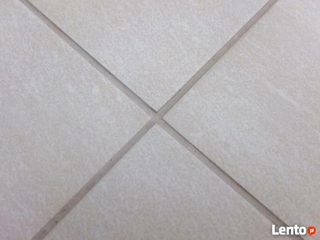 Czyszczenie wykładzin orbitalne bez przemaczania!