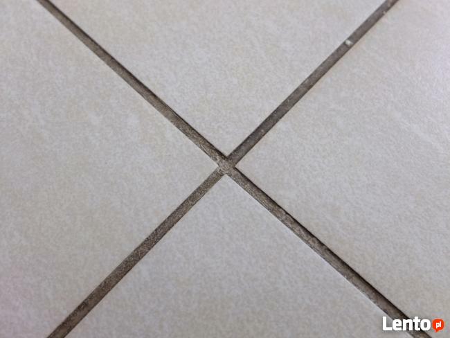 Czyszczenie wykładzin orbitalne bez przemaczania!