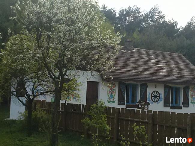 Agroturystyka inna niż wszystkie - Zagroda Zalipie !