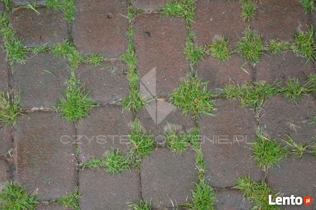 Wysokociśnieniowe mycie kostki brukowej Tarnów | klinkieru |