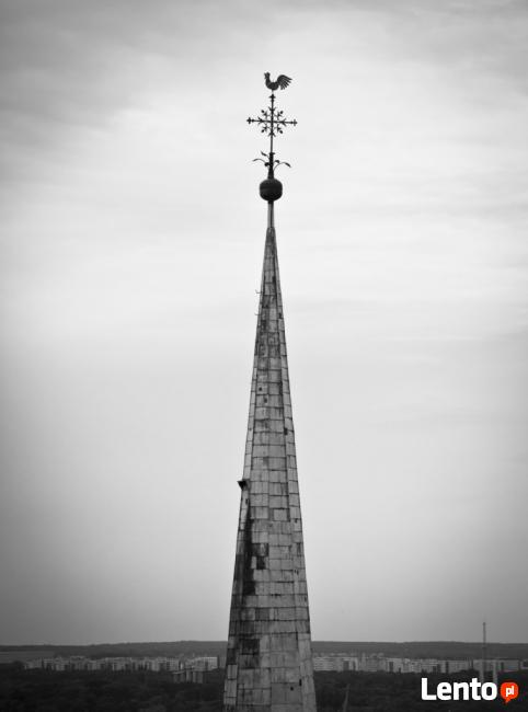 FOTOGRAF do wynajęcia. Szeroki zakres usług.