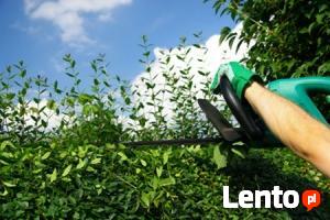 Przycinanie drzew i krzewów, cięcię drewna do kominka