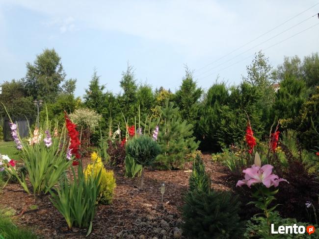 DOMKI W DĄBKACH NAD MORZEM I JEZIOREM
