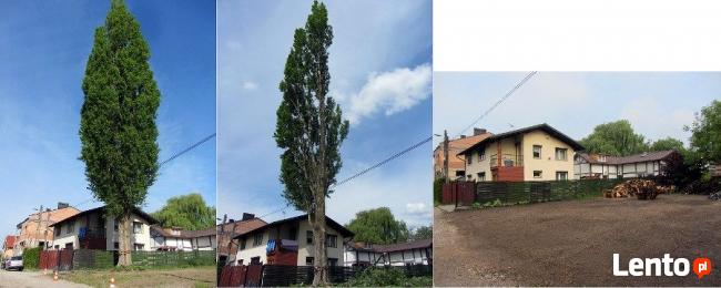 Wycinka i Pielęgnacje Drzew, Usuwanie Korzeni - Tarnów