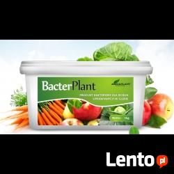 Bacter Plant 1kg bezkarencyjny do ochrony malin truskawki