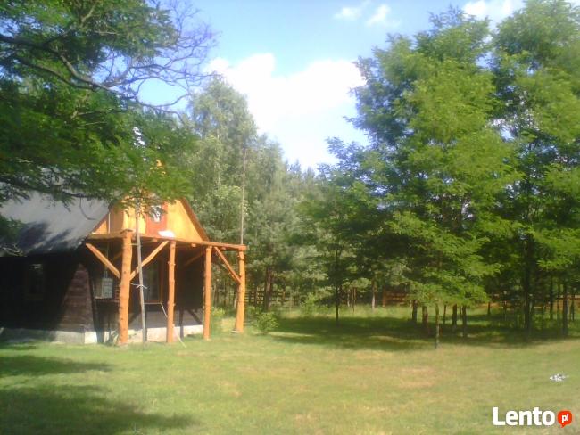 Siedlisko pieknie polozone blizko Kielc-Zamienię