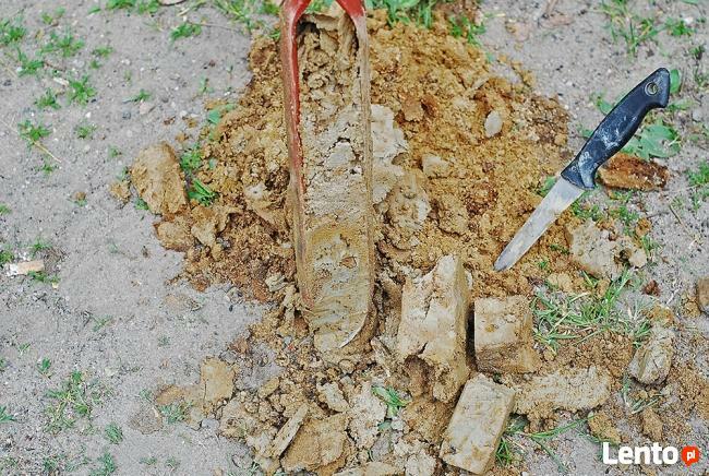 Badania gruntu, badania geotechniczne, geolog