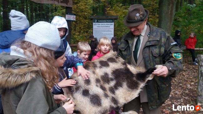 Zielona szkoła, wycieczka Szkolna